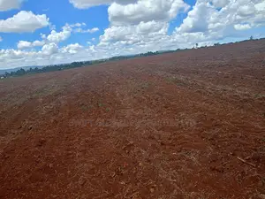 100 Acres Agricultural Land in Laikipia County Is Available for Sale
