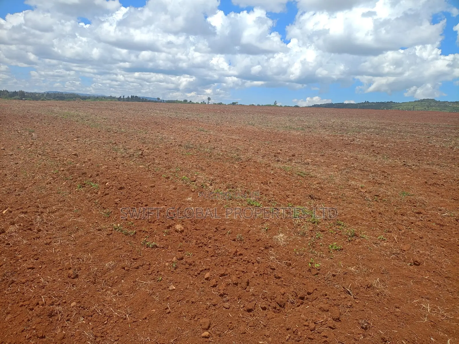 100 Acres Agricultural Land in Laikipia County Is Available for Sale