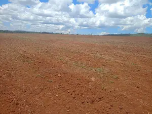 100 Acres Agricultural Land in Laikipia County Is Available for Sale