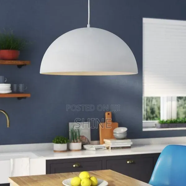 Modern  Matte Black and White Domestic Pendant  Light