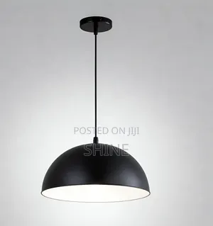 Modern  Matte Black and White Domestic Pendant  Light