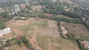 1 Acre Kibiku at 20m
