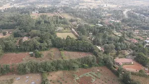 1 Acre Kibiku at 20m