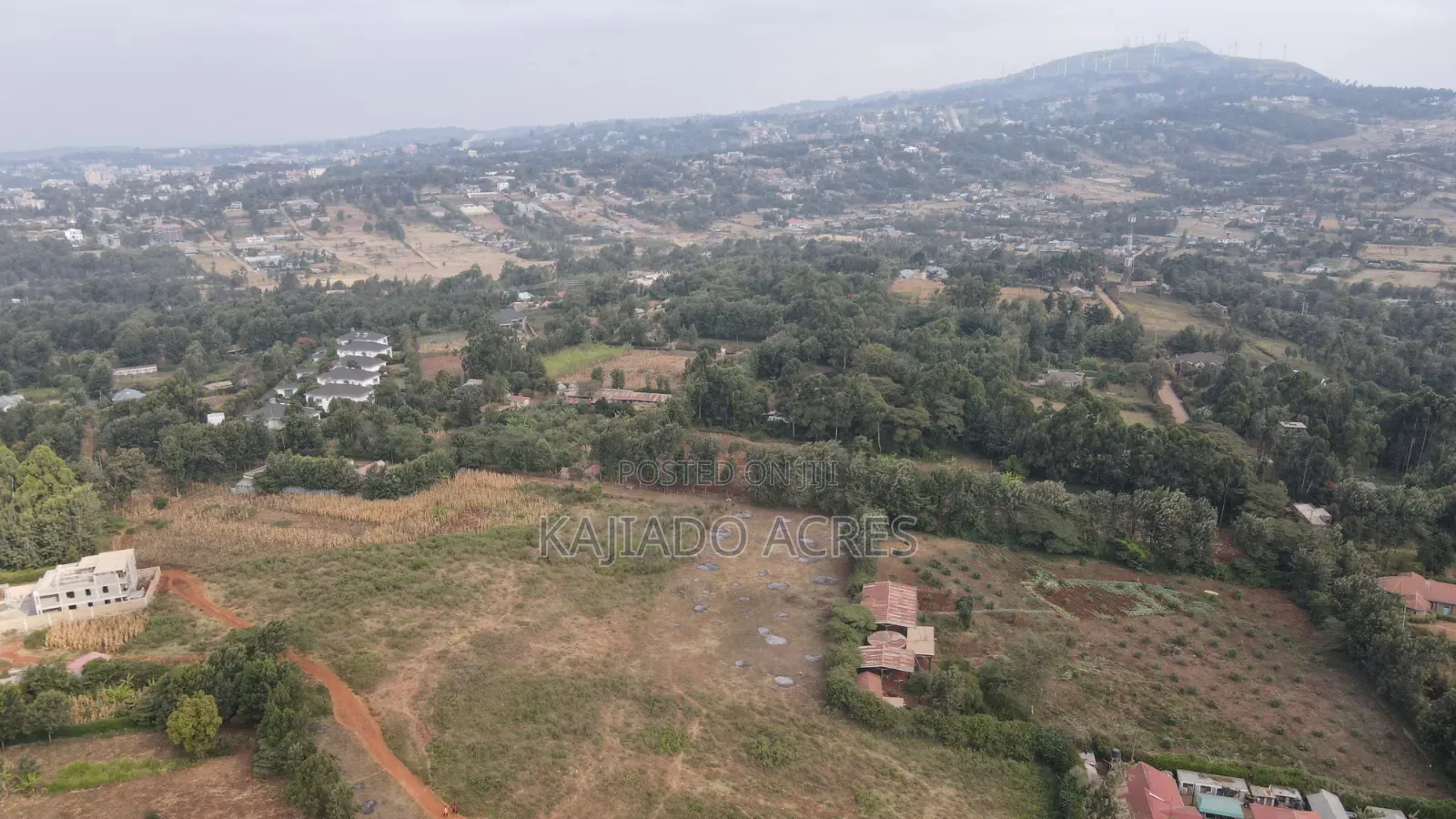 1 Acre Kibiku at 20m