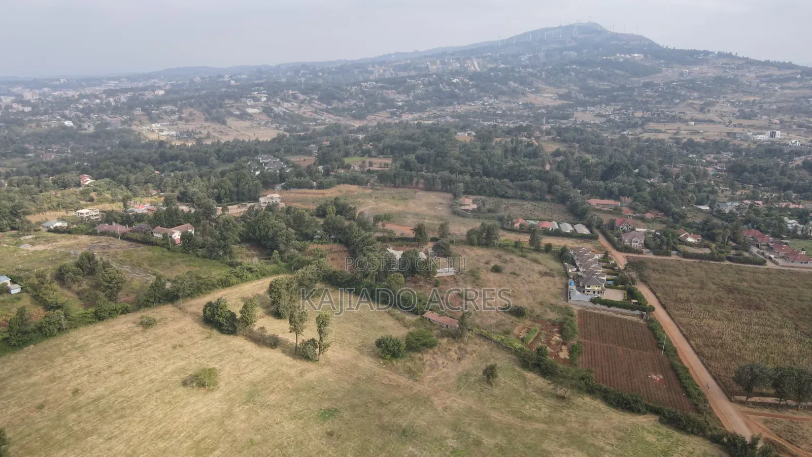 1 Acre Kibiku at 20m