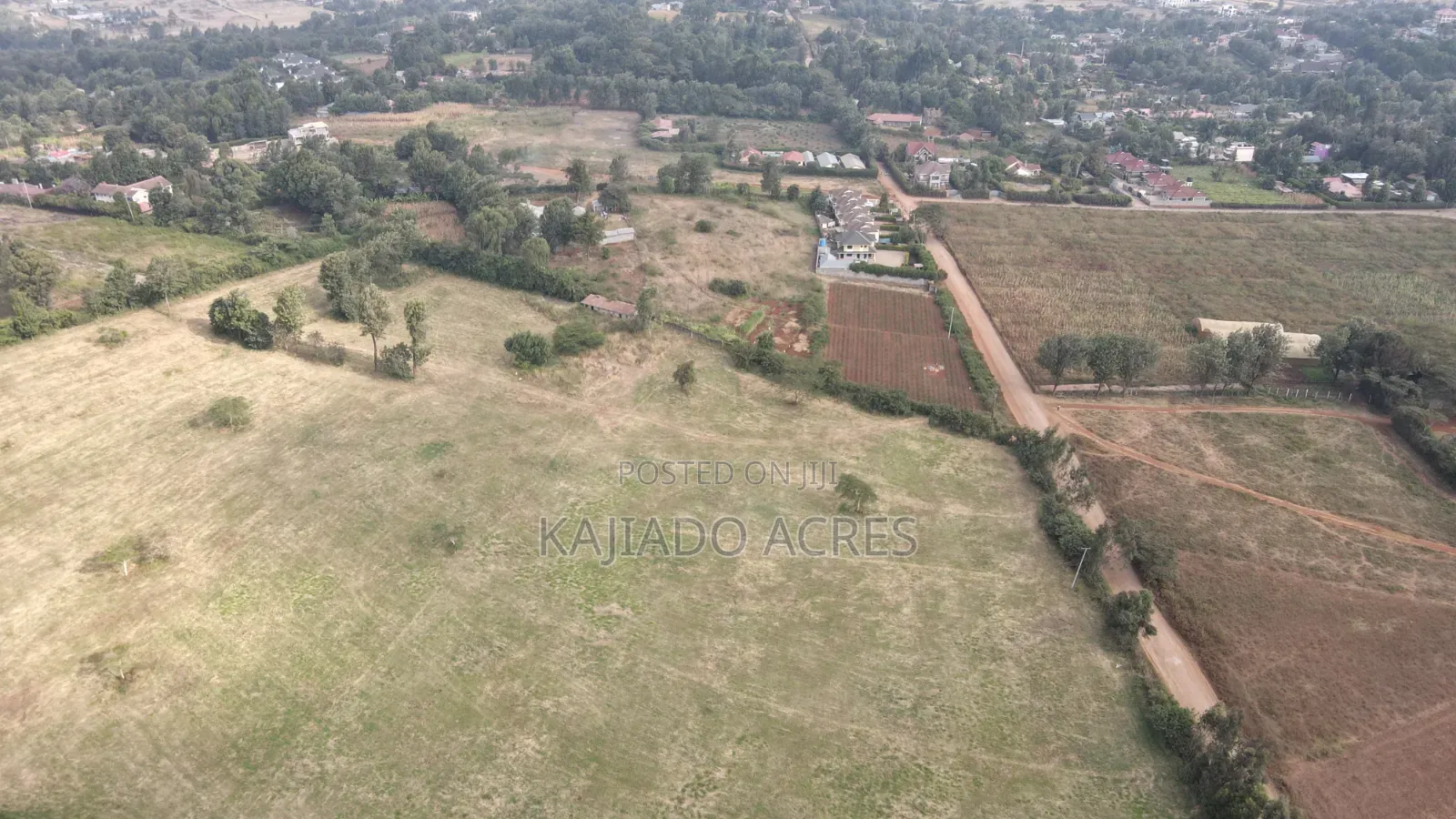 1 Acre Kibiku at 20m