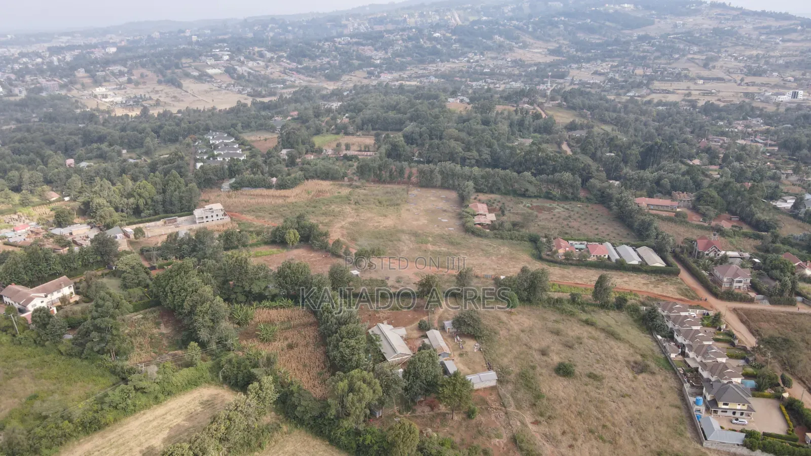 1 Acre Kibiku at 20m