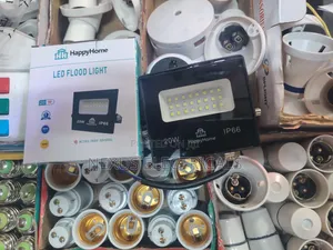 20w Floodlight AC