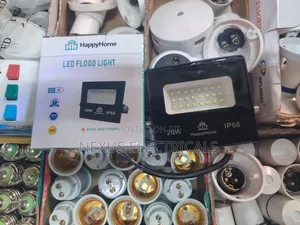 20w Floodlight AC