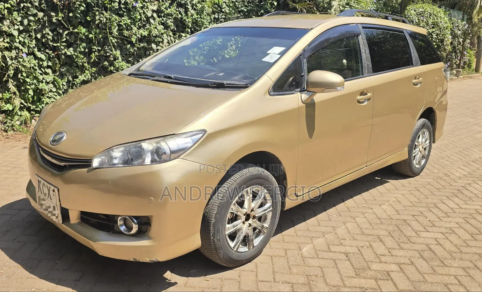 Toyota Wish 2012 Brown