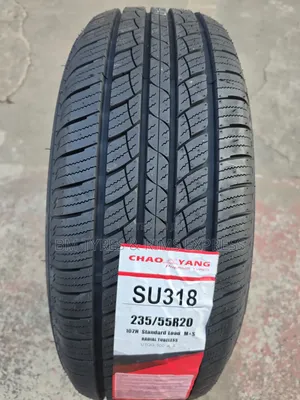 235 /55 R20 Chaoyng Tires