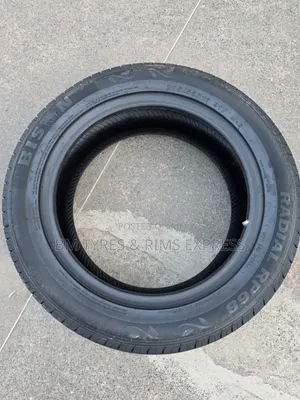 205 /55 R16 Bison Tires