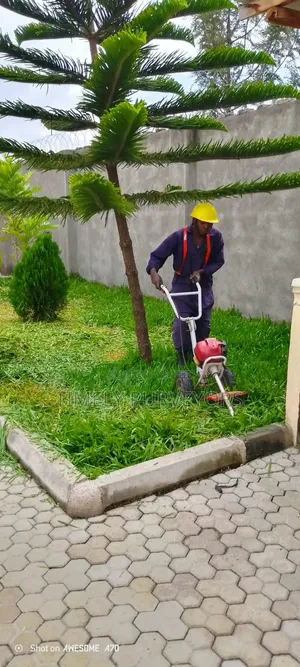 Mowing Services