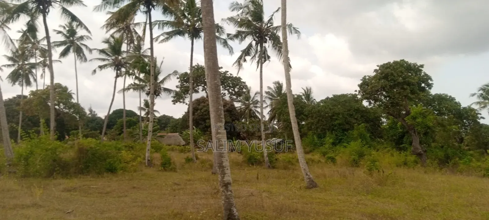 Land on Sale Matuga 4 Acres 3m Per Acre