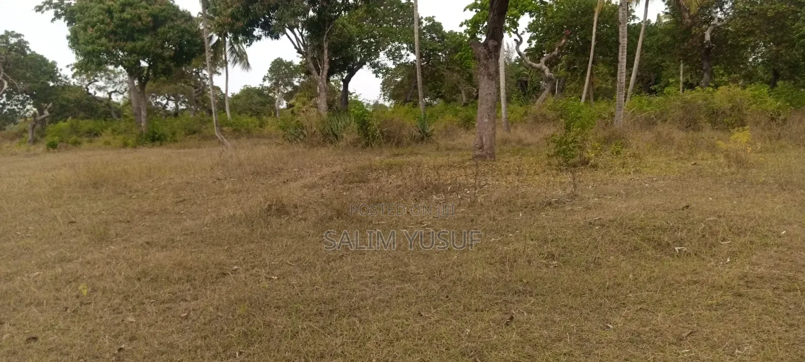 Land on Sale Matuga 4 Acres 3m Per Acre