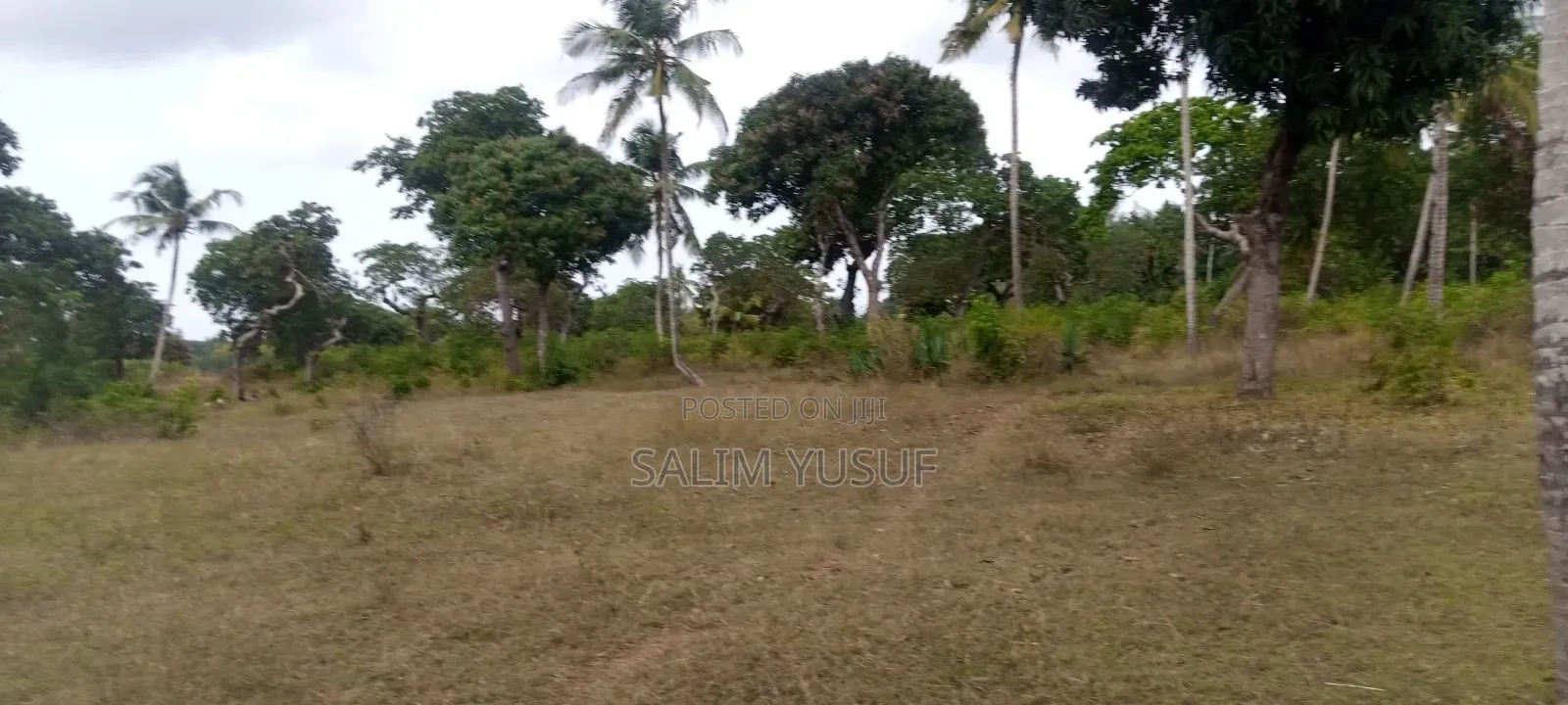 Land on Sale Matuga 4 Acres 3m Per Acre