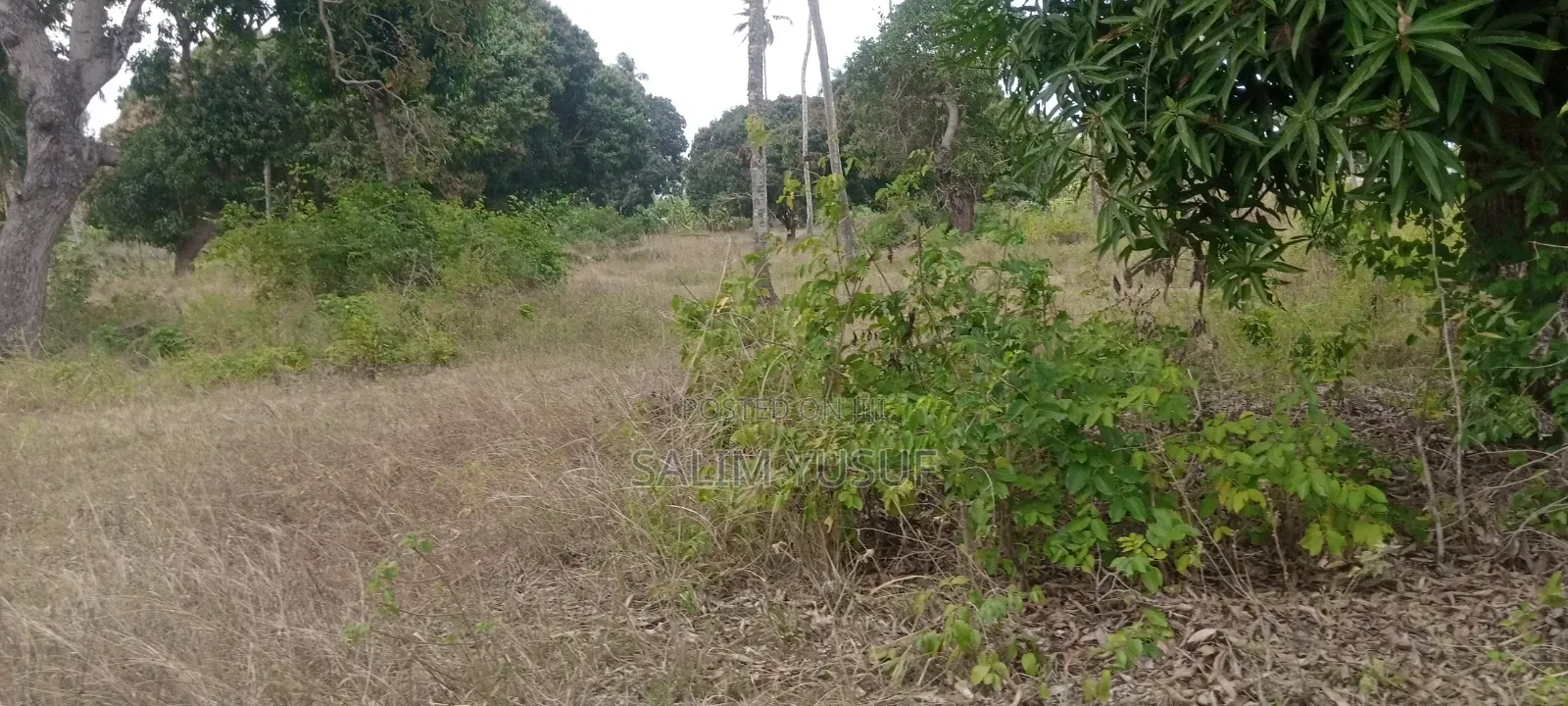 Land on Sale Matuga 4 Acres 3m Per Acre
