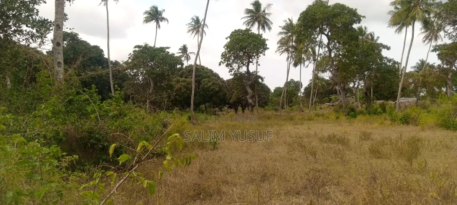 Land on Sale Matuga 4 Acres 3m Per Acre