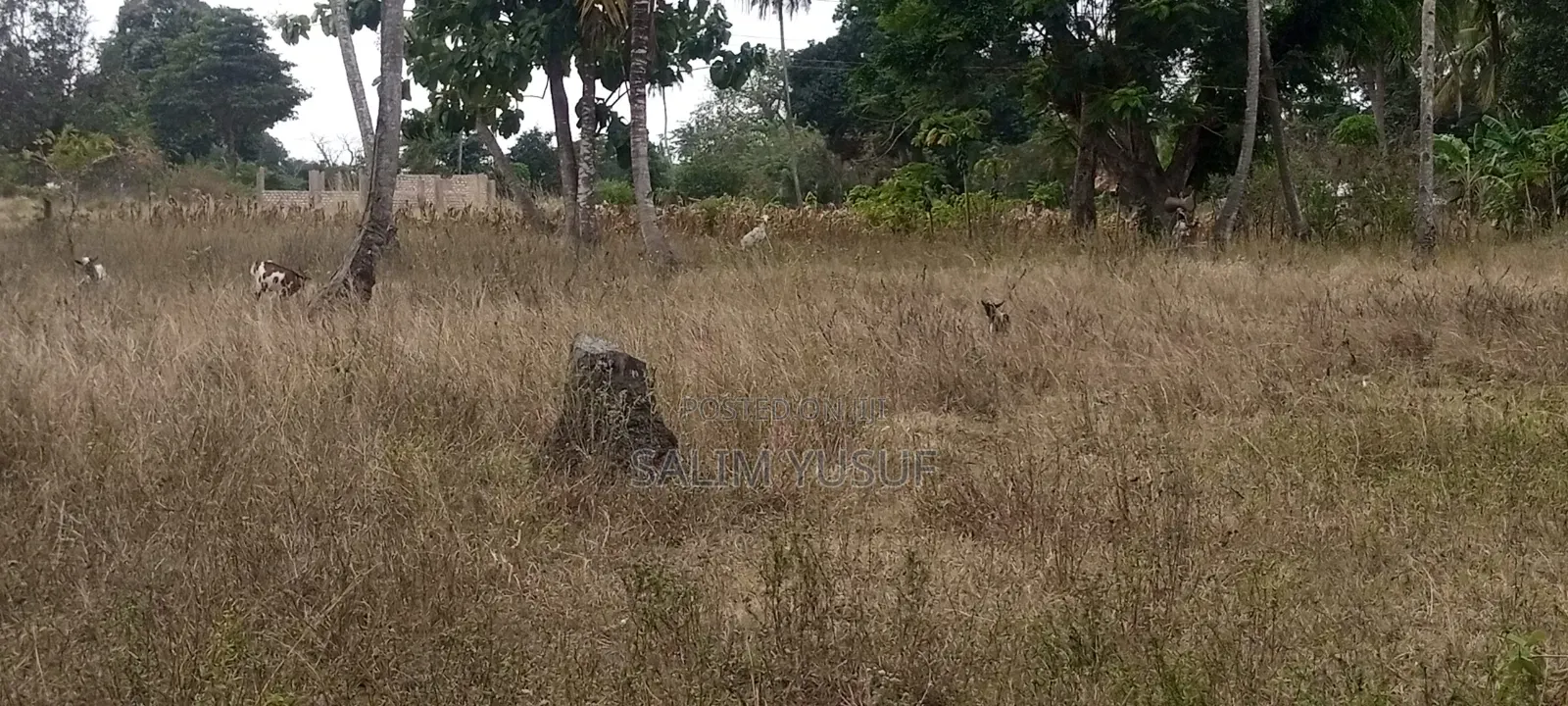 Land on Sale Matuga 4 Acres 3m Per Acre