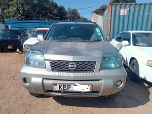 Nissan X-Trail 2005 Gray