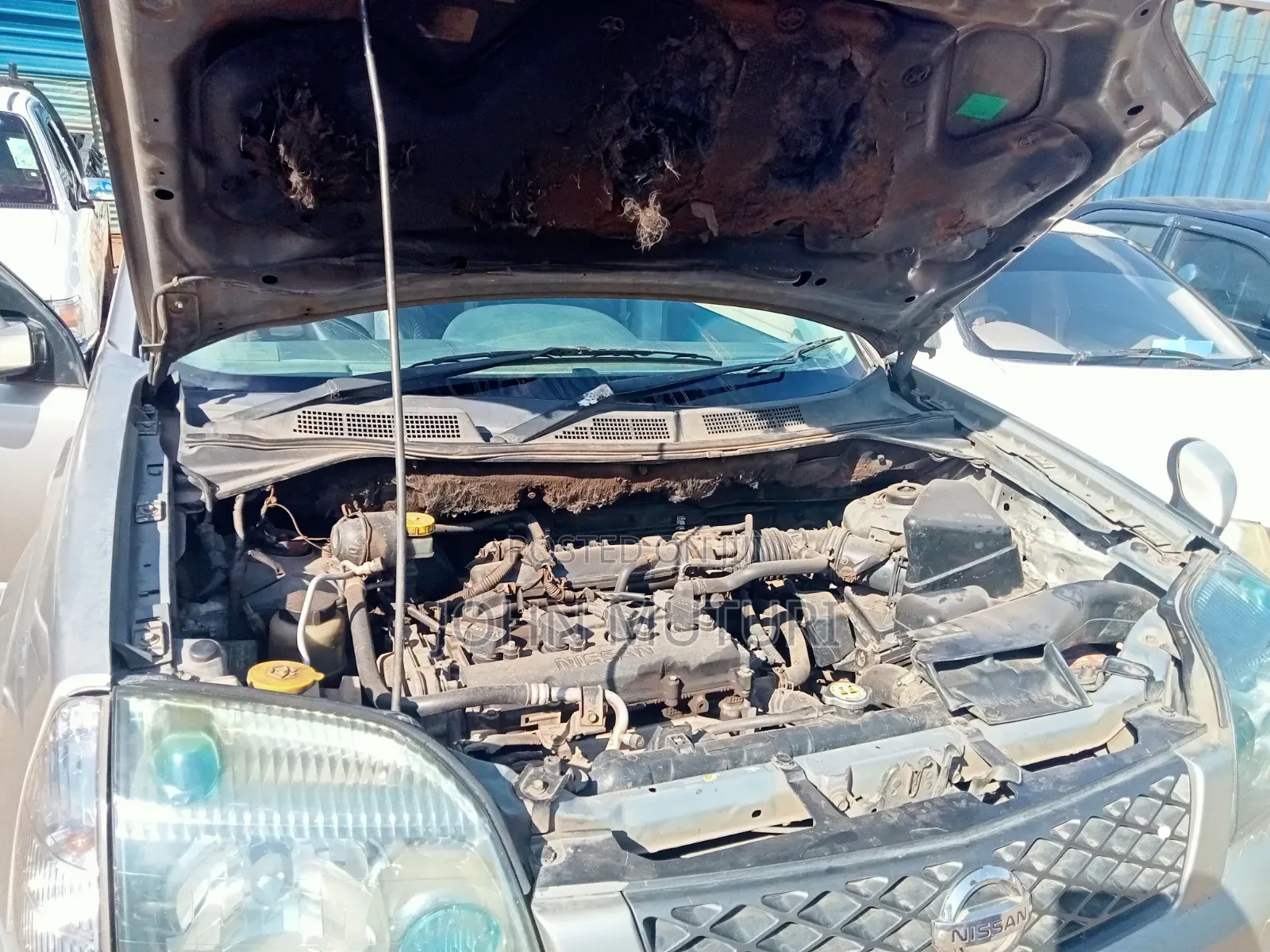 Nissan X-Trail 2005 Gray