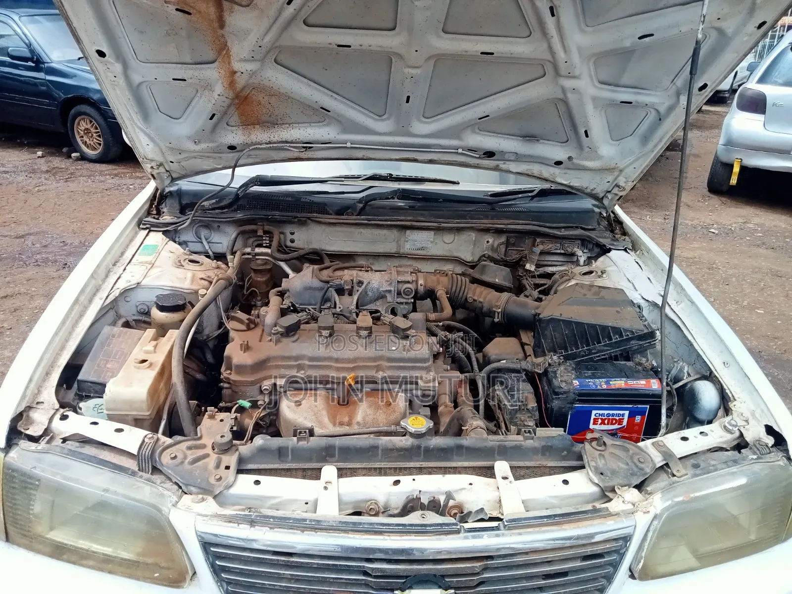 Nissan Sunny 2004 White