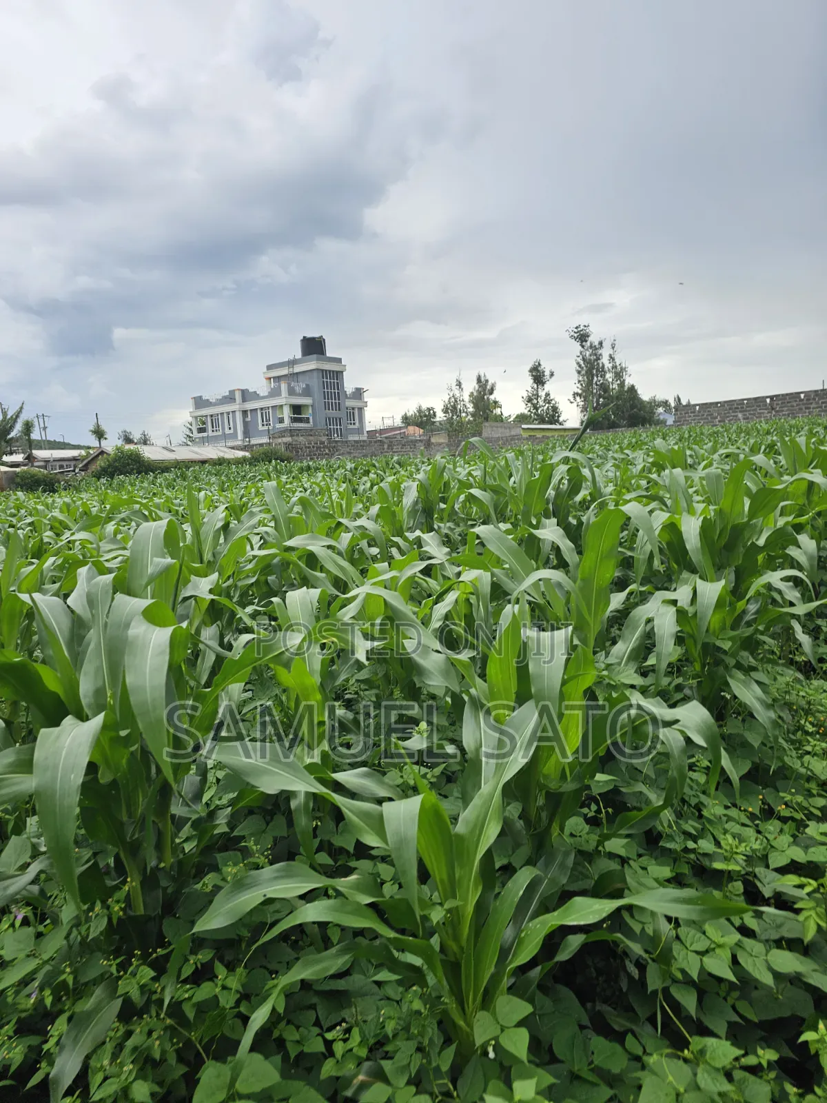 Land for Sale in Mwariki
