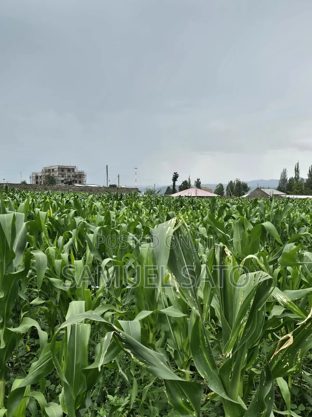 Land for Sale in Mwariki