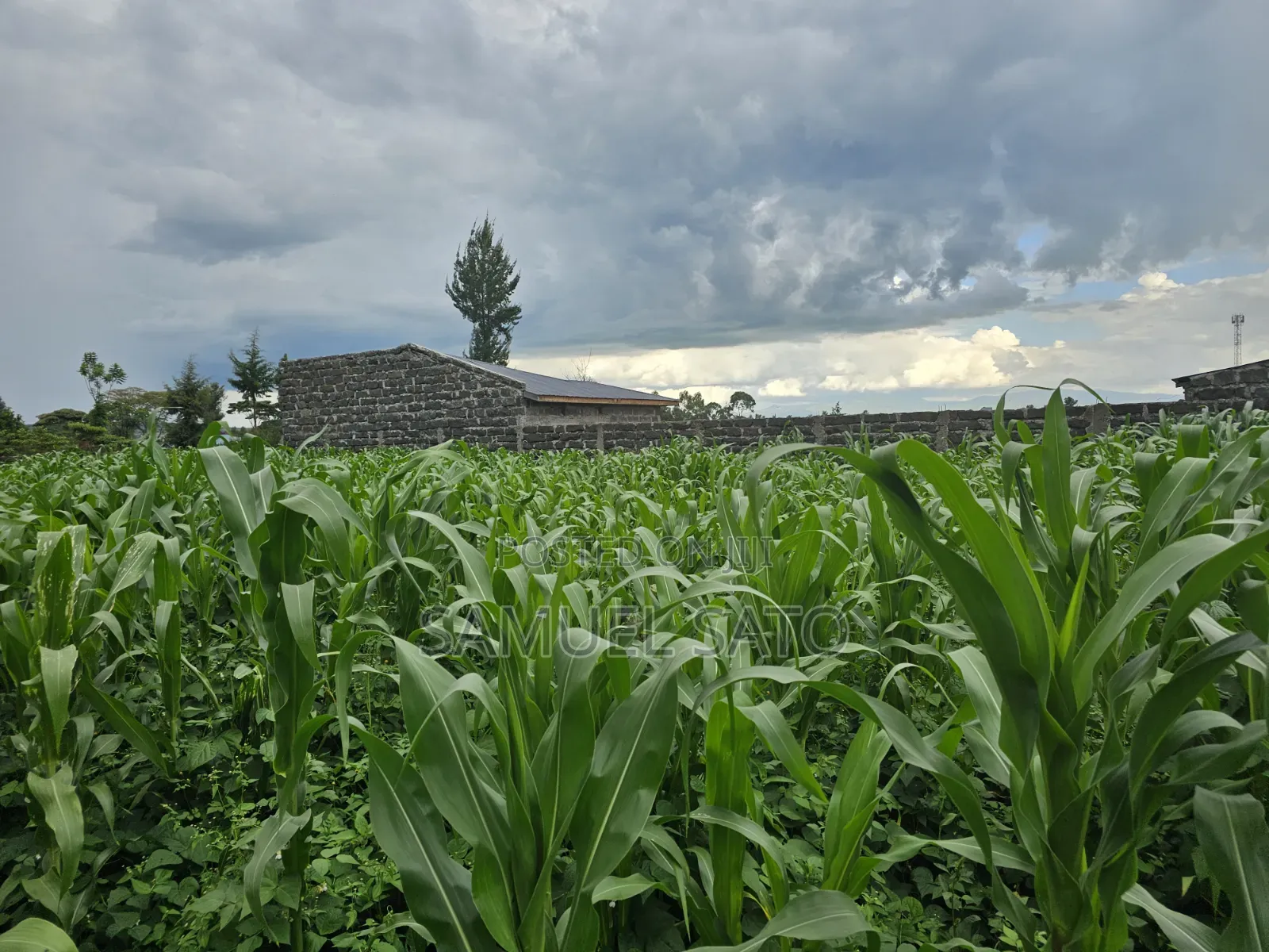 Land for Sale in Mwariki