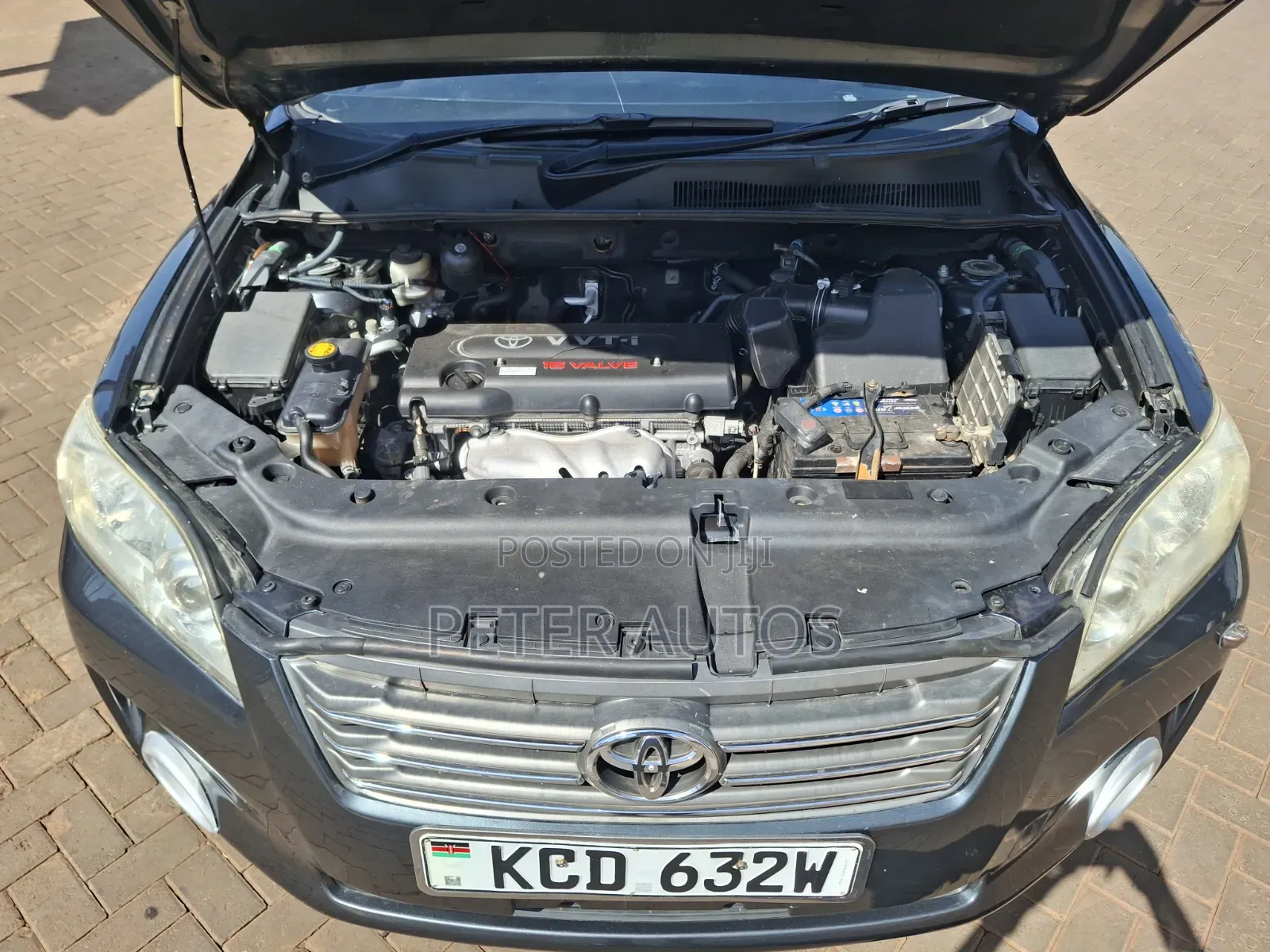 Toyota Vanguard 2009 Green