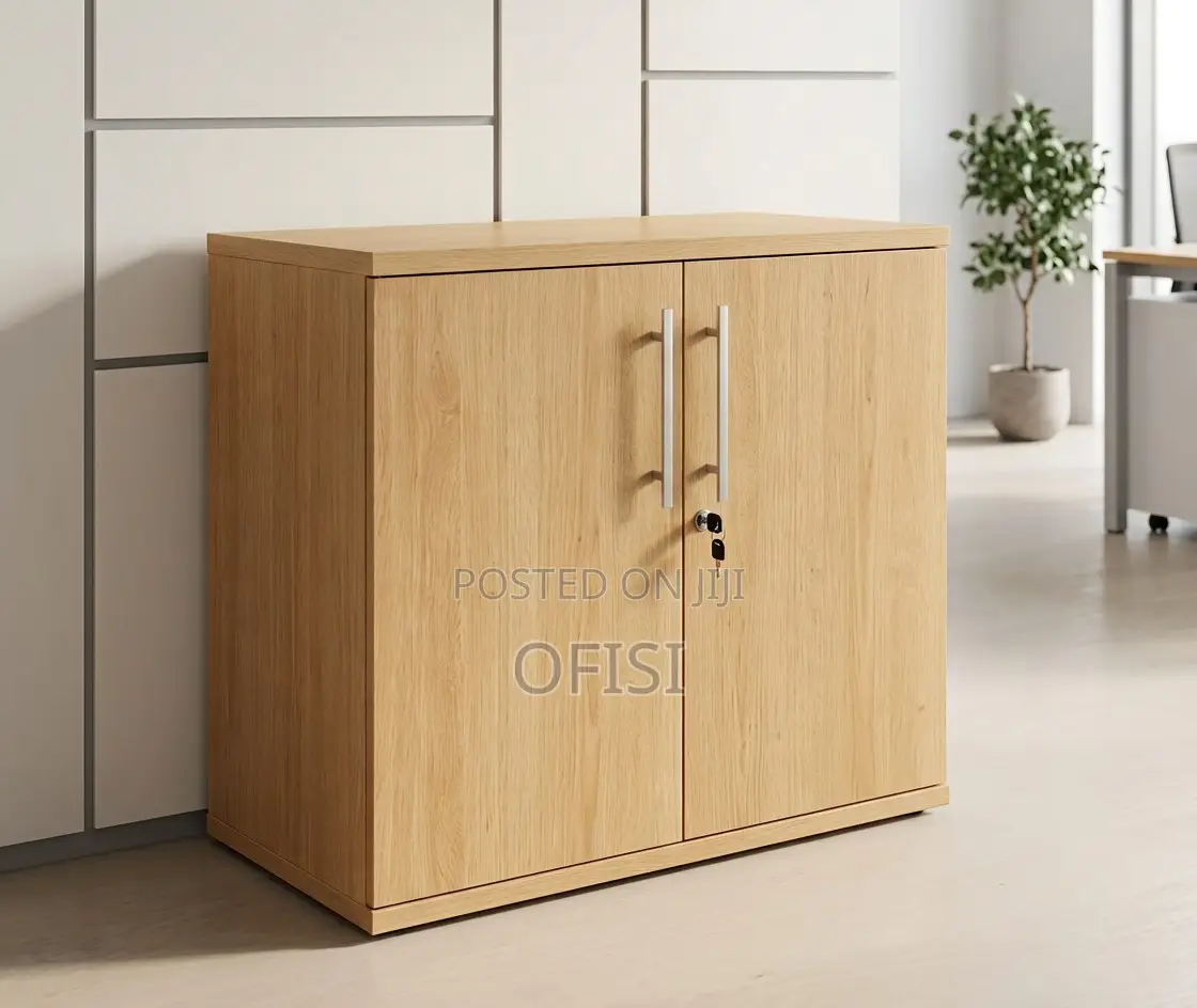 Office Cabinet; 2 Door Executive Office Cupboard