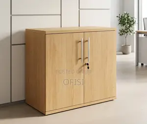 Office Cabinet; 2 Door Executive Office Cupboard