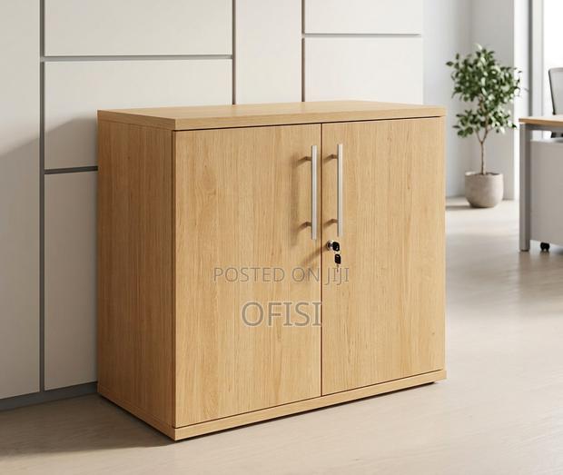Office Cabinet; 2 Door Executive Office Cupboard