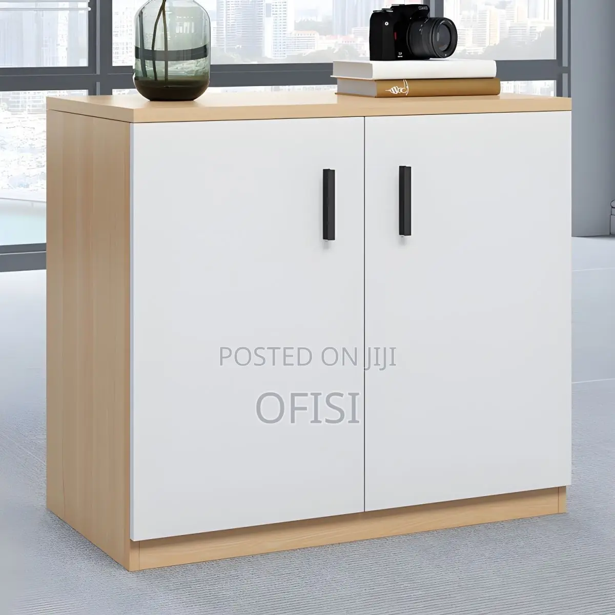 Office Cabinet; 2 Door Executive Office Cupboard
