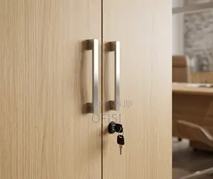 Office Cabinet; 2 Door Executive Office Cupboard