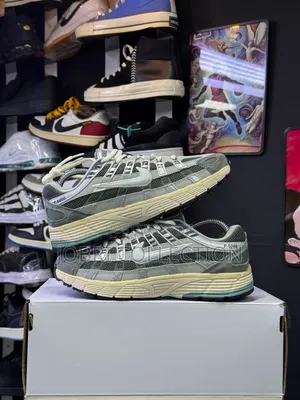 Nike P-6000   "Flat Pewter" 
Sneakers