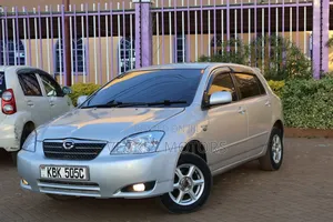 Toyota Corolla RunX 2002 Silver