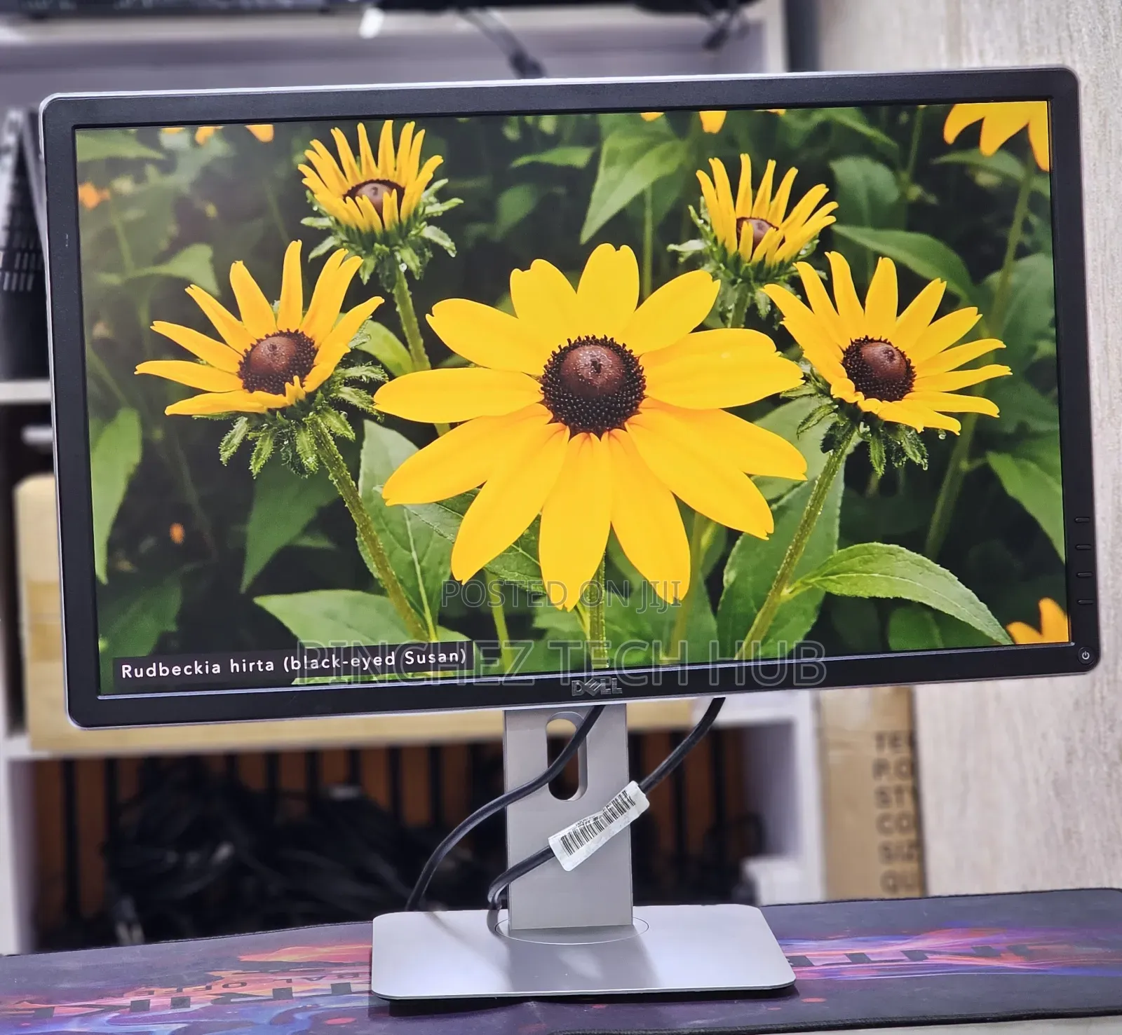 Dell P2414h
24 Inches Framed Monitor