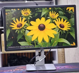 Dell P2414h
24 Inches Framed Monitor