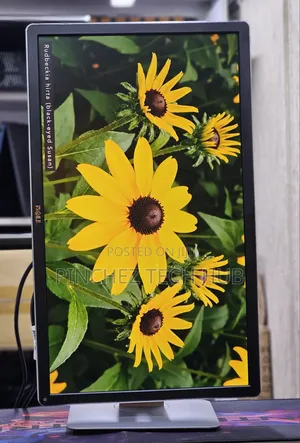 Dell P2414h
24 Inches Framed Monitor