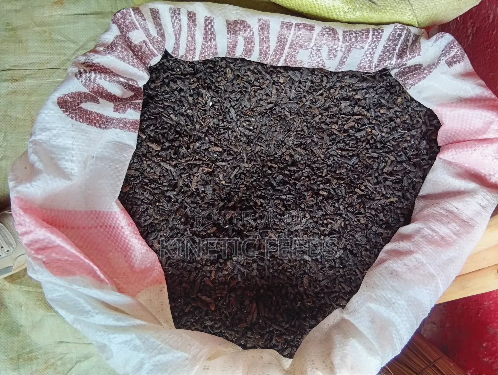 Dried Black Soldier Fly Larvae/Poultry Feeds