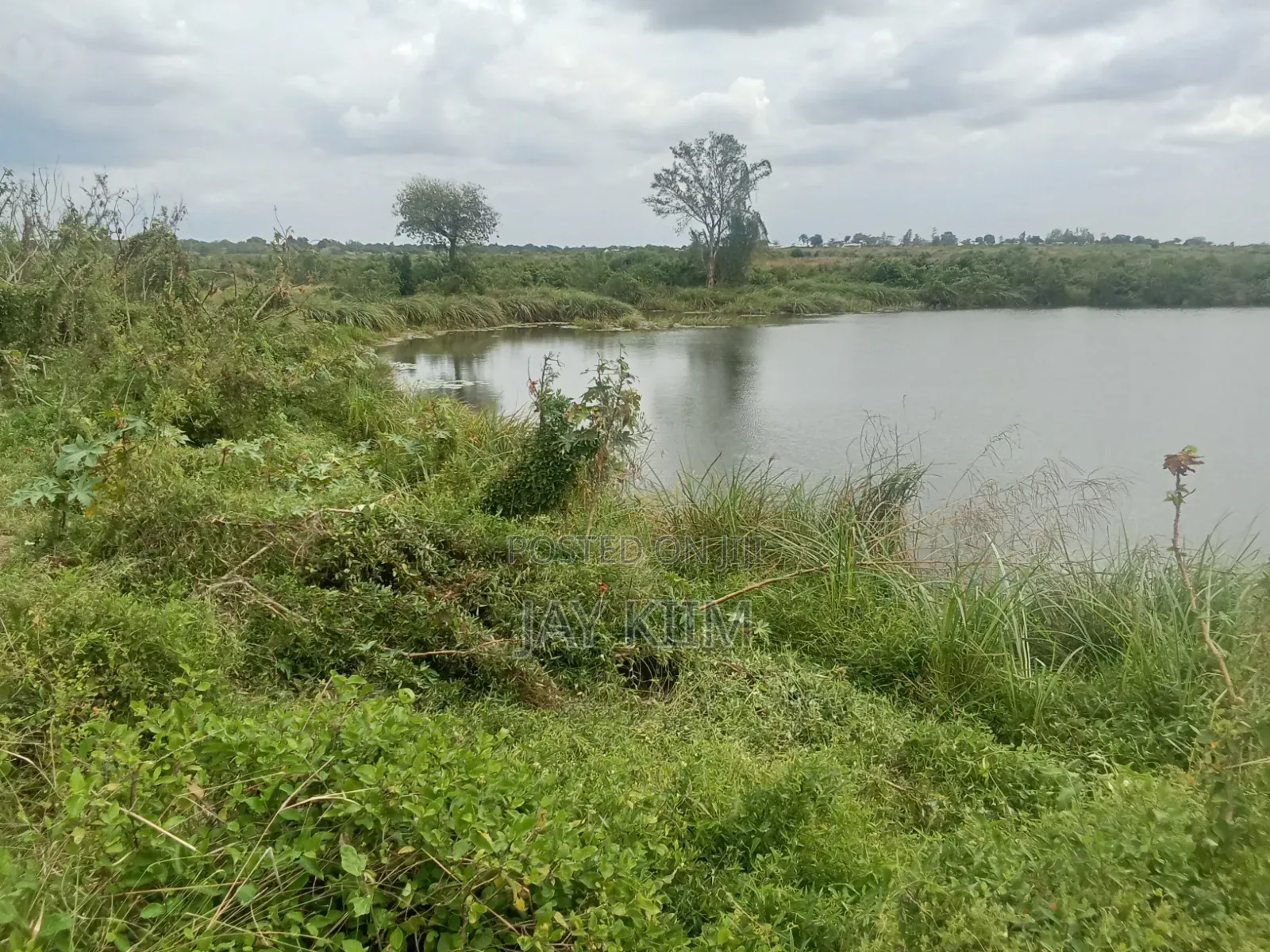 Mgombezi Agricultural Land for Sale