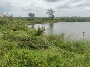 Mgombezi Agricultural Land for Sale