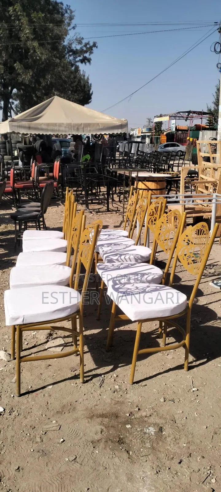 Outdoor Event Chairs