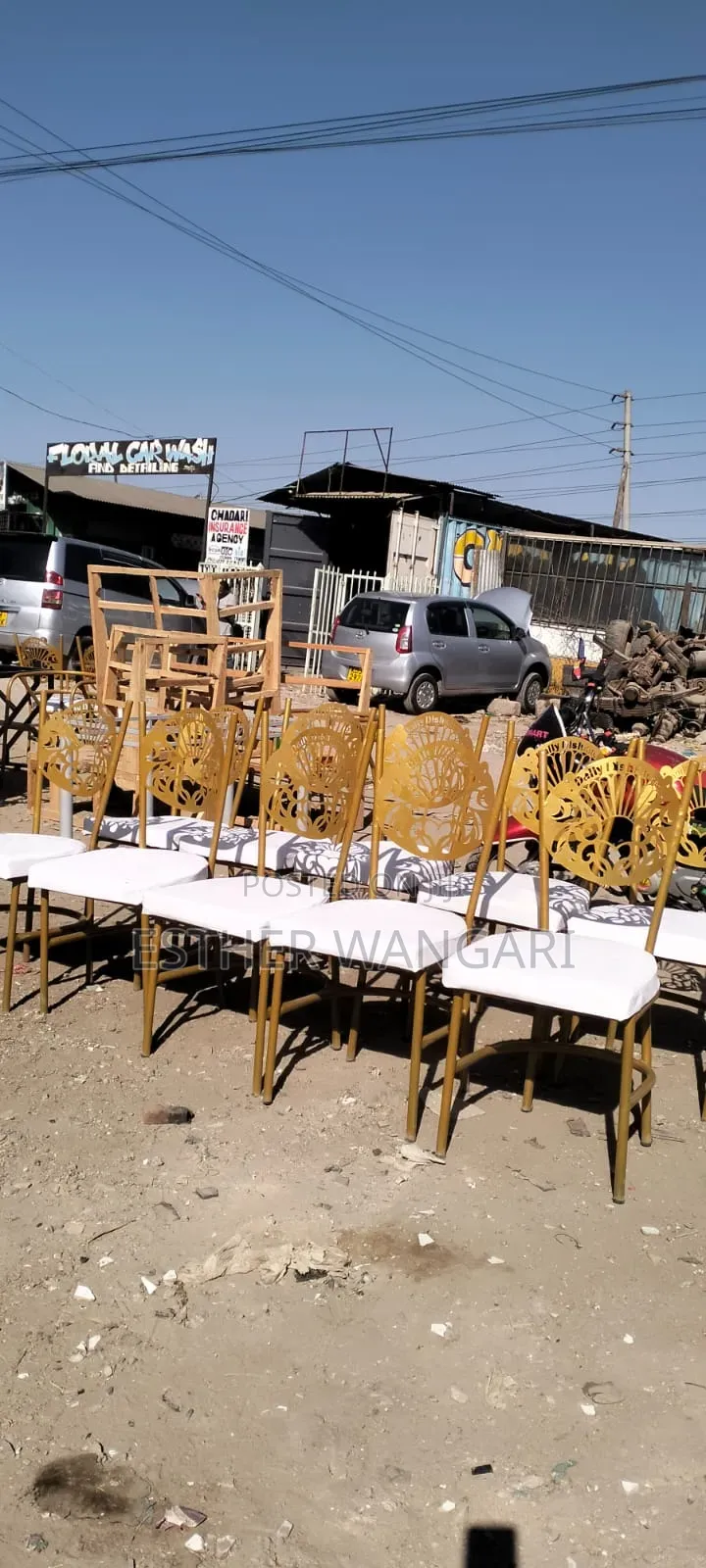 Outdoor Event Chairs