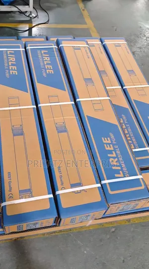 Lirlee 1hp Submersible