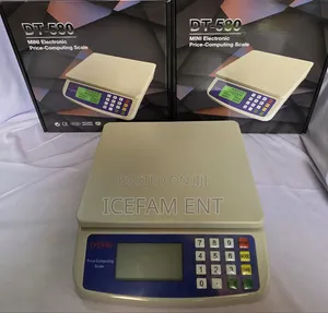 DT-580 Professional Scale/30kgs Scale