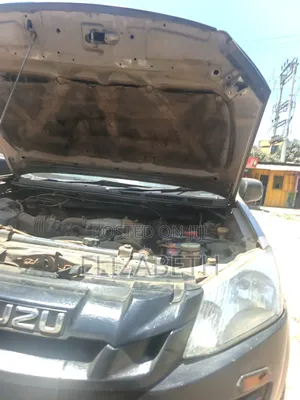 Isuzu D-MAX 2014 Brown