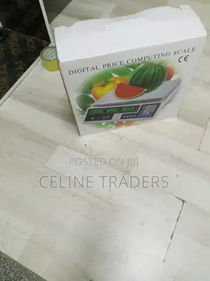 ACS-40 Digital Electronic Weighing