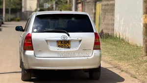 Toyota Corolla Fielder 2003 Silver